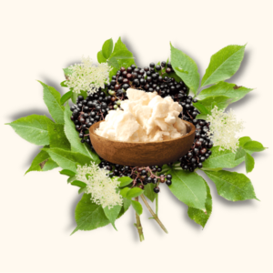 Beurre de sureau noir