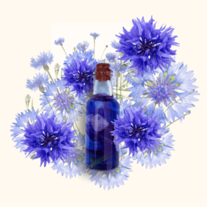 Eau Florale de Bleuet