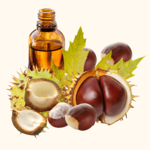 Extrait de Marronnier d'Inde