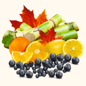 Acides de Fruits AHA