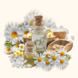 Eau Florale de Camomille Romaine