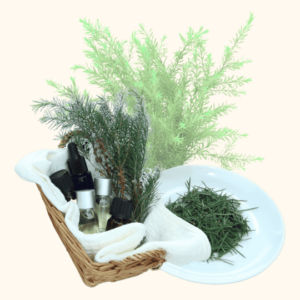 Huile Essentielle de Tea Tree