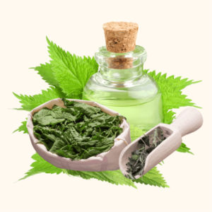 Hydrolat d'Ortie Piquante