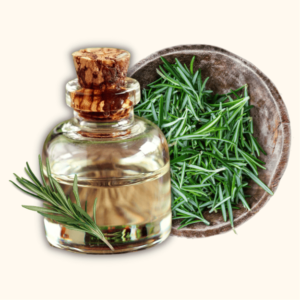 Hydrolat de Romarin