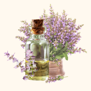 Hydrolat de Sauge Sclarée