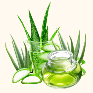 Jus d'Aloé Vera