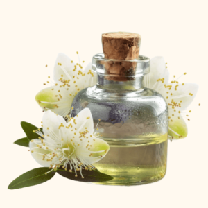 Extrait de Myrte Citronnée d'Australie