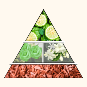 Parfum Bergamote Boisée