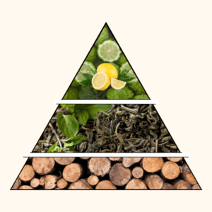 Parfum Thé Vert Hespéridé