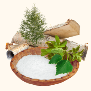 Extrait de sucre de Bouleau